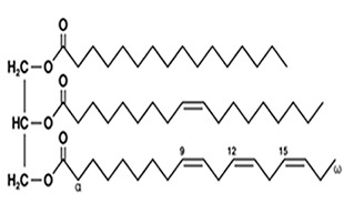 laser_lipo_phototherapy_1